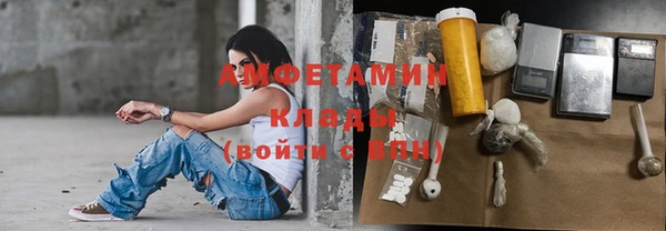 твердый Дмитровск
