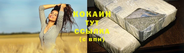 соль ск Алексеевка