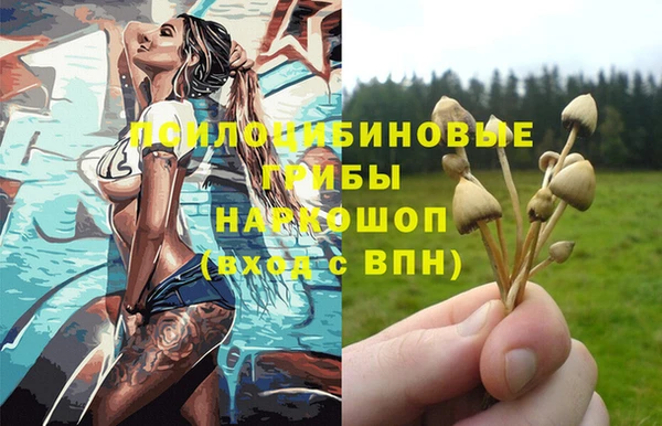 соль ск Алексеевка