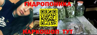 прущие грибы Мариинск