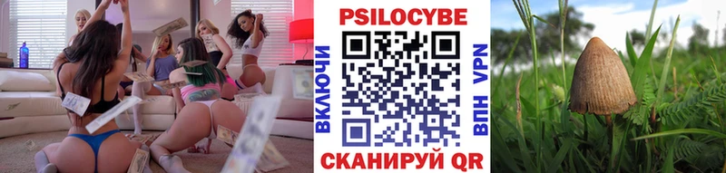 Псилоцибиновые грибы мухоморы  kraken ССЫЛКА  Тюмень  дарнет шоп 