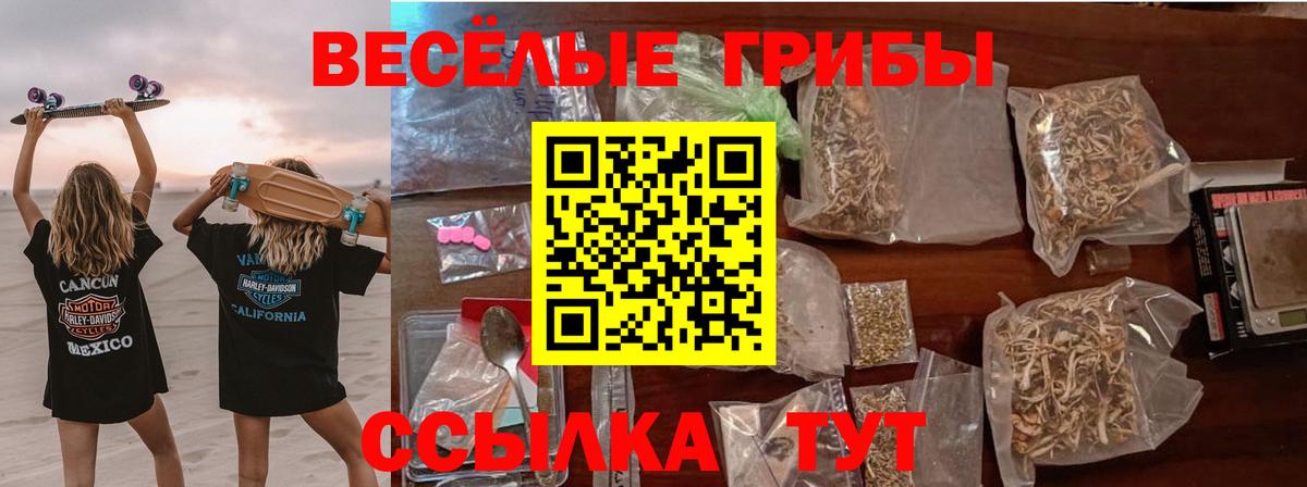 Тюмень  Псилоцибиновые грибы прущие грибы  Вход с VPN  Псилоцибиновые грибы прущие грибы 